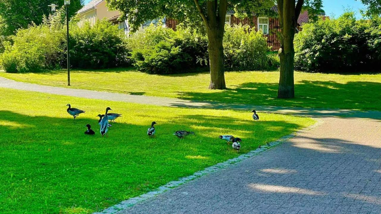 Gaestehaus Ambiente Am Kurpark Bad Sooden-Allendorf Exteriér fotografie